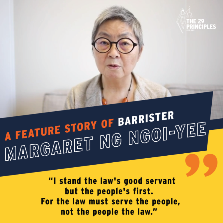 Margaret Ng  來自美國律師協會網站的截圖